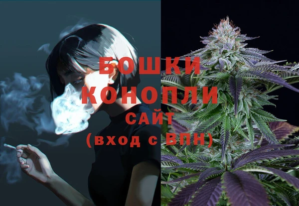 эйфоретик Зерноград