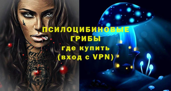 эйфоретик Зерноград