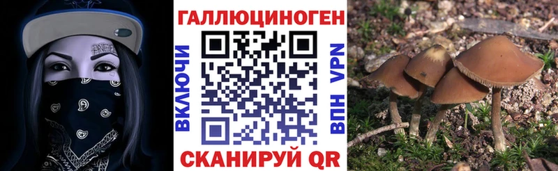 Псилоцибиновые грибы MAGIC MUSHROOMS  Купить где  Карабулак 